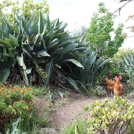 Apartamento Rural Draco Moya (Gran Canaria)